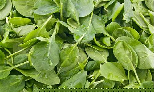 英雄联盟菠菜网：菠菜LOL游戏详细介绍与推荐