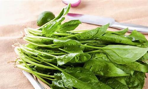 十大菠菜软件:LOL菠菜在哪买:全面介绍与指南