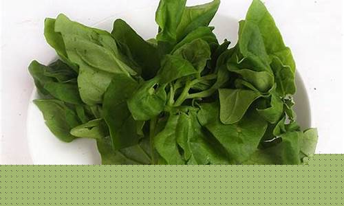 菠菜信息大全：探索LOL游戏中的精彩世界