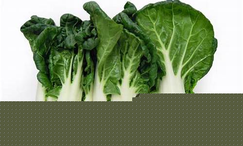 新2会员端：如何在LOL游戏中选择最适合的菠菜？