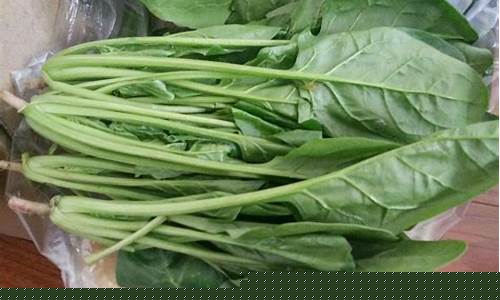 菠菜信息大全:LOL游戏中的关键指南