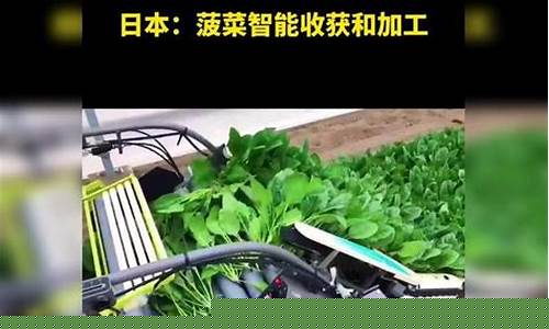 菠菜信息技术与LOL游戏的完美结合