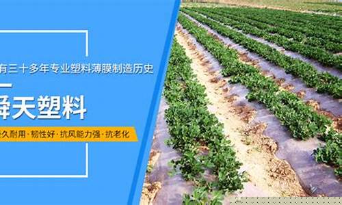 专业菠菜导航官网详细介绍