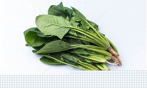 LOL菠菜网站选择指南
