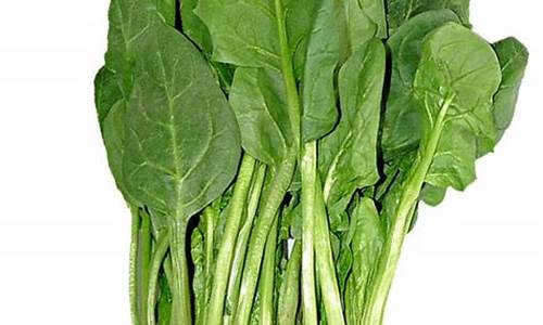 菠菜信誉担保网:线上国际菠菜详解