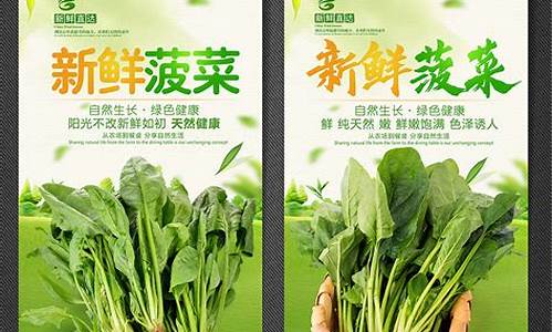 最新最全白菜网:为什么菠菜公司的LOL游戏广告如此吸引人?