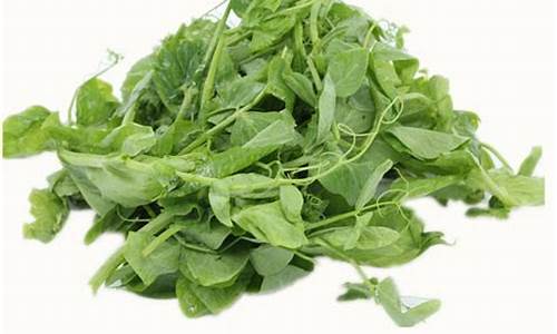 最新白菜网注册领取体验:菠菜LOL游戏指南:全面了解菠菜公司网站