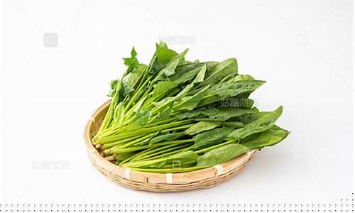 菠菜在线平台：菠菜排名站详细介绍与分析