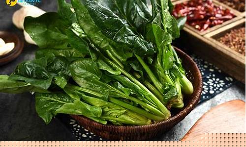 菠菜官方网站详解:LOL游戏专题