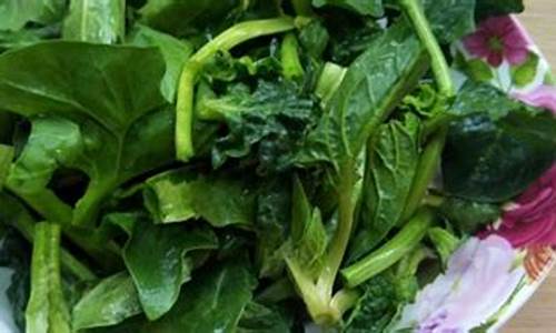 菠菜开户:菠菜LOL游戏指南:如何选择最新的菠菜