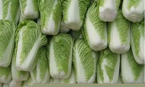威尼斯登录网站入口:菠菜LOL游戏资讯大揭秘