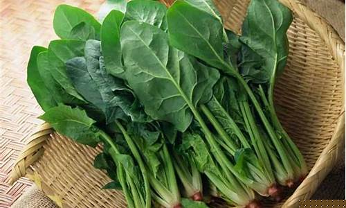 菠菜信用网：标题：线上菠菜直营：探索LOL游戏世界的乐趣