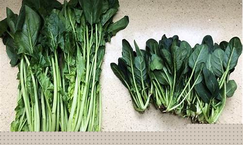 菠菜开户：LOL菠菜在哪买？全面解析