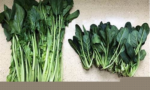 LOL菠菜在哪买 LOL菠菜在哪买