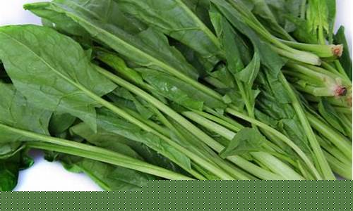 菠菜信息大全：LOL游戏中的全